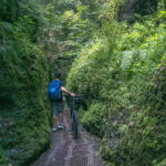 Drachenschlucht Eisenach – Natur pur in Thüringen erleben