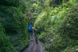 Drachenschlucht Eisenach – Natur pur in Thüringen erleben