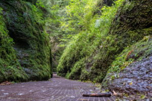 Drachenschlucht Eisenach – Natur pur in Thüringen erleben