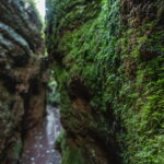 Drachenschlucht Eisenach – Natur pur in Thüringen erleben