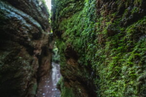 Drachenschlucht Eisenach – Natur pur in Thüringen erleben