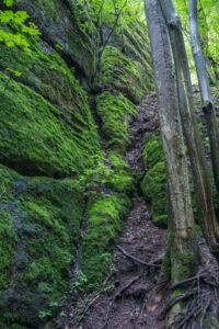 Thüringen entdecken: Drachenschlucht Eisenach