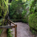 Thüringen entdecken: Drachenschlucht Eisenach