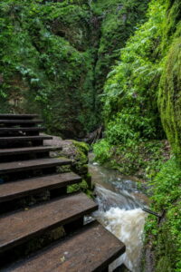 Thüringen entdecken: Drachenschlucht Eisenach