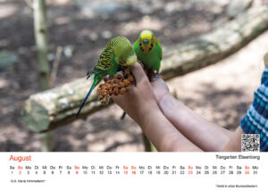 August: Tiergarten Eisenberg – tierische Erlebnisse für die ganze Familie