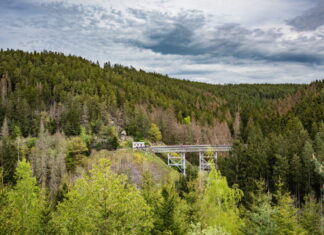 Lostplace & Wanderziel im Thüringer Wald: Ziemestalbrücke Ziemestalbrücke: Lostplace & Wanderziel im Thüringer Wald. Foto: Frank Liebold, Jenafotografx