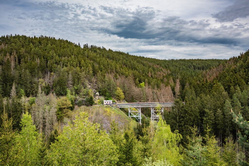 Lostplace Thüringen: Entdecke die Ziemestalbrücke, Stahlviadukt, Lostplace und Wanderhighlight im Thüringer Wald. Tipps zu Anreise, Fotospots und Sicherheit. Ziemestalbrücke: Lostplace & Wanderziel im Thüringer Wald. Foto: Frank Liebold, Jenafotografx