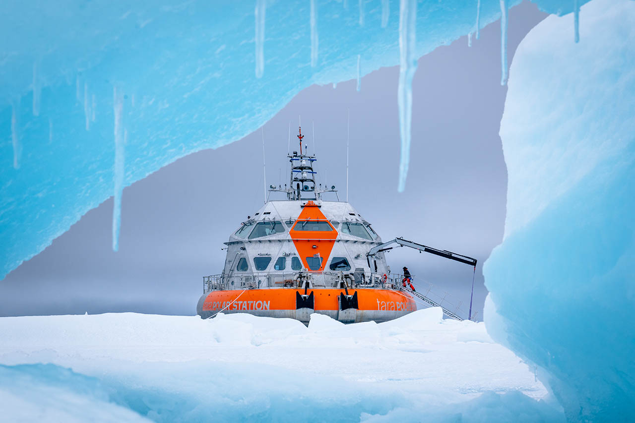 In der Nähe von Spitzbergen driftet die Polarstation Tara durch das arktische Meereis. Mit an Bord sind Forschende der Uni Jena, die untersuchen, wie Mikroorganismen die monatelange Dunkelheit der Polarnacht überstehen. Im Rahmen einer Samstagsvorlesungen berichtet Prof. Georg Pohnert am 31. Januar 2026 über die oft aufwendigen Expeditionen, die nötig sind, um Mikroalgen (Phytoplankton) zu erforschen (Foto: Maéva Bardy – Fondation Tara Océan)