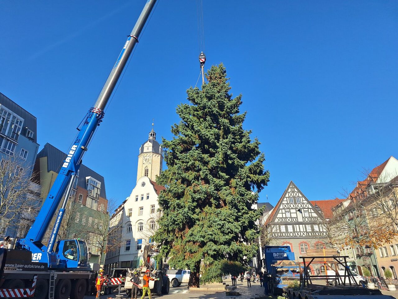 Weihnachtsbaum 2025 für den Jenaer Marktplatz. Foto: JenaKultur Weihnachtsbaum 2025 für den Jenaer Marktplatz. Foto: JenaKultur
