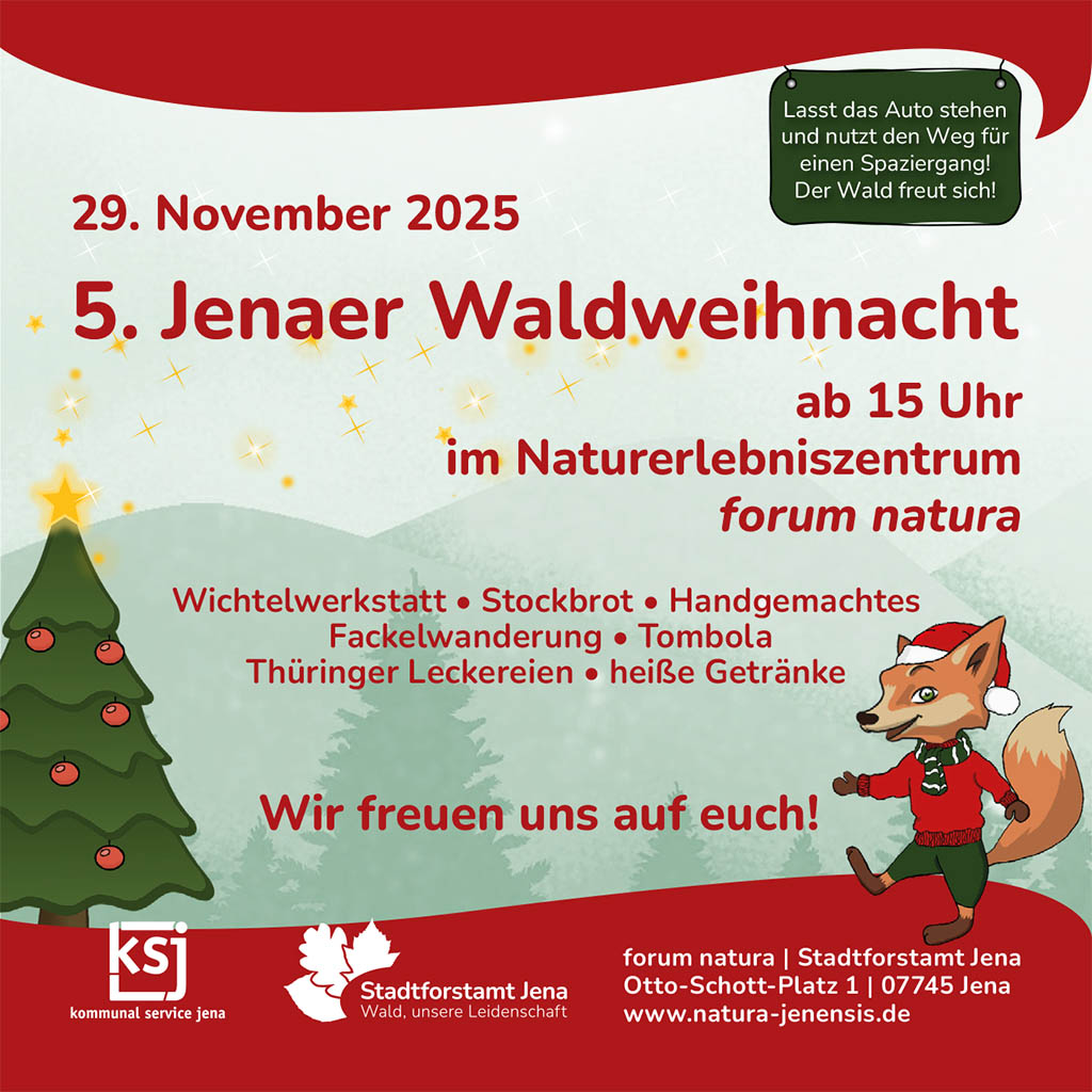 Am 29.11.2025 lädt das forum natura zur 5. Jenaer Waldweihnacht mit Wichtelwerkstatt, Fackelwanderung und regionalen Leckereien, 15–19 Uhr. Flyer: Stadt Jena Am 29.11.2025 lädt das forum natura zur 5. Jenaer Waldweihnacht mit Wichtelwerkstatt, Fackelwanderung und regionalen Leckereien, 15–19 Uhr. Flyer: Stadt Jena