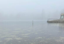 Neujahrsschwimmen Jena 2026 wegen Eis verschoben Eisschicht auf dem Schleichersee verhindert das 6. Jenaer Neujahrsschwimmen. Jenaer Bäder verschieben das Event aus Sicherheitsgründen. Foto: Jenaer Bäder