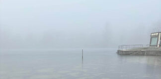 Neujahrsschwimmen Jena 2026 wegen Eis verschoben Eisschicht auf dem Schleichersee verhindert das 6. Jenaer Neujahrsschwimmen. Jenaer Bäder verschieben das Event aus Sicherheitsgründen. Foto: Jenaer Bäder
