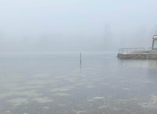 Neujahrsschwimmen Jena 2026 wegen Eis verschoben Eisschicht auf dem Schleichersee verhindert das 6. Jenaer Neujahrsschwimmen. Jenaer Bäder verschieben das Event aus Sicherheitsgründen. Foto: Jenaer Bäder