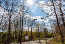 Einzigartige Winterferien im forum natura Einzigartige Winterferien im forum natura. Jenaer Forst, Foto: Frank Liebold, Jenafotografx