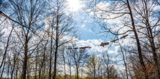 Einzigartige Winterferien im forum natura Einzigartige Winterferien im forum natura. Jenaer Forst, Foto: Frank Liebold, Jenafotografx