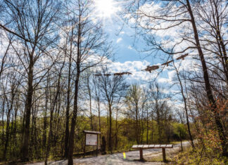 Einzigartige Winterferien im forum natura Einzigartige Winterferien im forum natura. Jenaer Forst, Foto: Frank Liebold, Jenafotografx