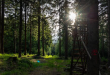 Waldgeflüster Jena wichtige Impulse zur Jagd am 26.02. Waldgeflüster Jena wichtige Impulse zur Jagd am 26.02. Foto: Frank Liebold, Jenafotografx