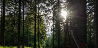 Waldgeflüster Jena wichtige Impulse zur Jagd am 26.02. Waldgeflüster Jena wichtige Impulse zur Jagd am 26.02. Foto: Frank Liebold, Jenafotografx