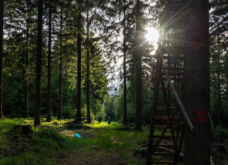 Waldgeflüster Jena wichtige Impulse zur Jagd am 26.02. Waldgeflüster Jena wichtige Impulse zur Jagd am 26.02. Foto: Frank Liebold, Jenafotografx