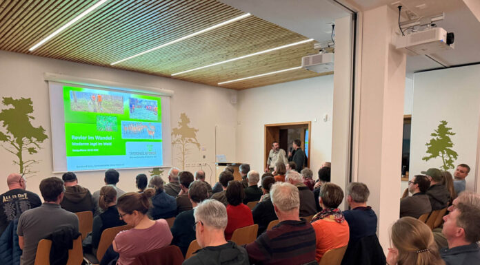 Starker Auftakt der Reihe Waldgeflüster in Jena Erfolgreicher Start Waldgeflüster Jena begeistert. Foto: Stadt Jena