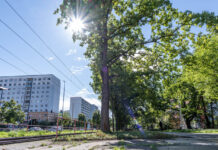 Achtung Warnstreik ab Mo. 09.03. beim Jenaer Nahverkehr Achtung Warnstreik ab Mo. 09.03. bei, Jenaer Nahverkehr. Foto: Frank Liebold