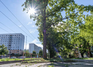 Achtung Warnstreik ab Mo. 09.03. beim Jenaer Nahverkehr Achtung Warnstreik ab Mo. 09.03. bei, Jenaer Nahverkehr. Foto: Frank Liebold