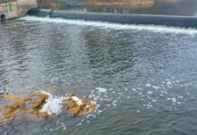 Schaumbildung auf der Saale: Natürliches Frühjahrsphänomen Schaumbildung auf der Saale. Sichtbares Frühjahrszeichen. Foto: Stadt Jena