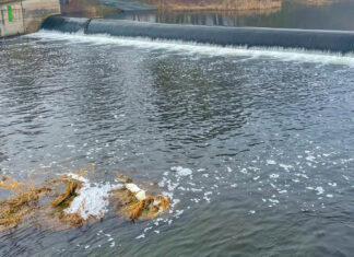 Schaumbildung auf der Saale: Natürliches Frühjahrsphänomen Schaumbildung auf der Saale. Sichtbares Frühjahrszeichen. Foto: Stadt Jena