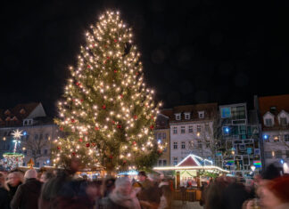Aufruf: Weihnachtsbaum für den Jenaer Weihnachtsmarkt 2026 gesucht Weihnachtsbaum für Jenaer Weihnachtsmarkt 2026 gesucht. Foto: Frank Liebold, Jenafotografx