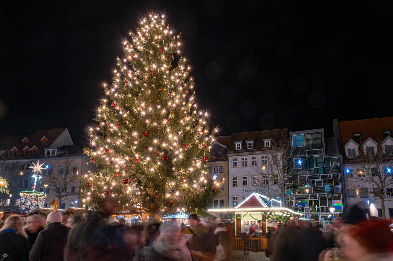 Weihnachtsbaum für Jenaer Weihnachtsmarkt 2026 gesucht. Foto: Frank Liebold, Jenafotografx Weihnachtsbaum für Jenaer Weihnachtsmarkt 2026 gesucht. Foto: Frank Liebold, Jenafotografx