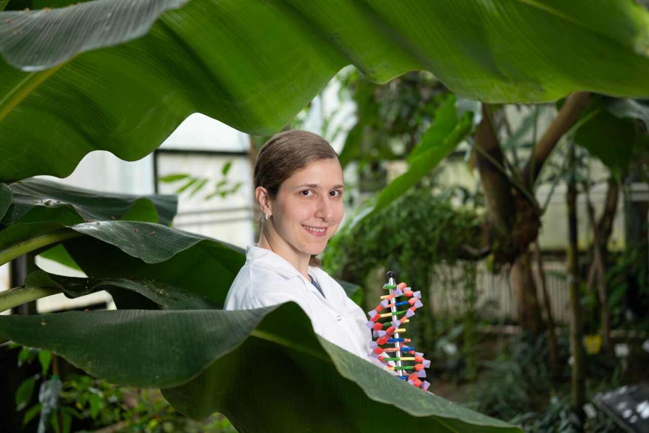 Dr. Corinna Kufner, Modell DNA-Doppelhelix, erforscht mithilfe von ultraschneller Spektroskopie die Rolle von UV-Licht bei der Entstehung des Lebens auf der Erde, untersucht photoinduzierte Prozesse in präbiotischen Reaktionssystemen, kombiniert Ansätze aus Physik, Chemie und Astrobiologie, um grundlegende molekulare Mechanismen zu verstehen und potenzielle Bedingungen für die Entstehung von Leben auf anderen Planeten zu identifizieren, Leibniz-Institut für Photonische Technologien Jena, IPHT, Europa, Deutschland, Thüringen, Jena Foto: Sven Döring / Leibniz-IPHT Dr. Corinna Kufner, Modell DNA-Doppelhelix, erforscht mithilfe von ultraschneller Spektroskopie die Rolle von UV-Licht bei der Entstehung des Lebens auf der Erde, untersucht photoinduzierte Prozesse in präbiotischen Reaktionssystemen, kombiniert Ansätze aus Physik, Chemie und Astrobiologie, um grundlegende molekulare Mechanismen zu verstehen und potenzielle Bedingungen für die Entstehung von Leben auf anderen Planeten zu identifizieren, Leibniz-Institut für Photonische Technologien Jena, IPHT, Europa, Deutschland, Thüringen, JenaFoto: Sven Döring / Leibniz-IPHT
