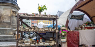 Beliebte Märkte und Stadtfeste in Jena im Juli 2026 Jenaer Töpfermarkt lockt Keramikfreunde nach Jena. Foto: Frank Liebold, Jenafotografx