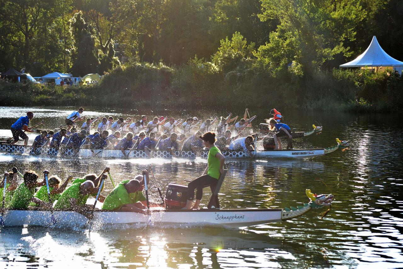 ACP-Drachenboot-Sprint Jena: Auftakt am Schleichersee. Foto: USV Jena ACP-Drachenboot-Sprint Jena: Auftakt am Schleichersee. Foto: USV Jena